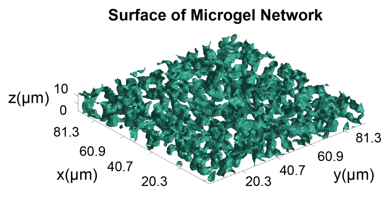 Microgel composite could overcome fibrin blockade to accelerate healing