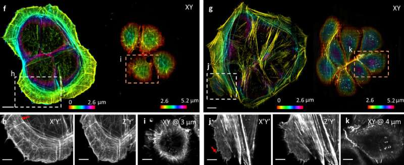 Mirror image: Researchers create higher-quality pictures of biospecimens