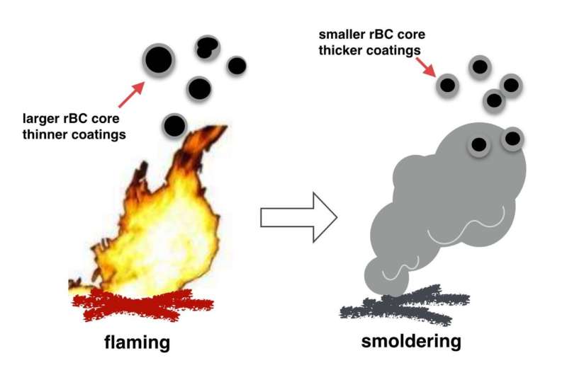 Mixing state of black carbon from biomass burning differs in different combustion phase