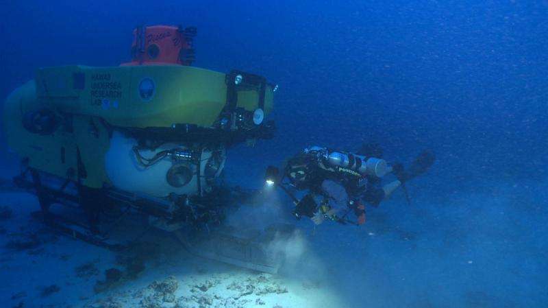 Mānoa: Hundreds of species of fungi in deep coral ecosystems discovered by UH Manoa botanists