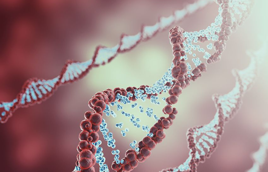Molecular hairpin structures make effective DNA replicators
