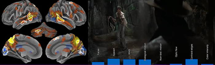 Movie research results—multitasking overloads the brain