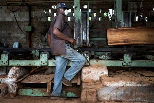 Mozambique's wood processing industry has embraced the new government measures to fight illegal logging, &quot;as the processing