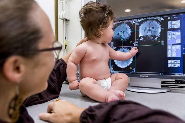 MRI scans reveal surprising similarities in activity patterns of infant and adult visual cortex