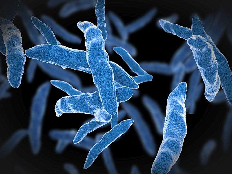 Multidrug-resistant TB set to increase through 2040