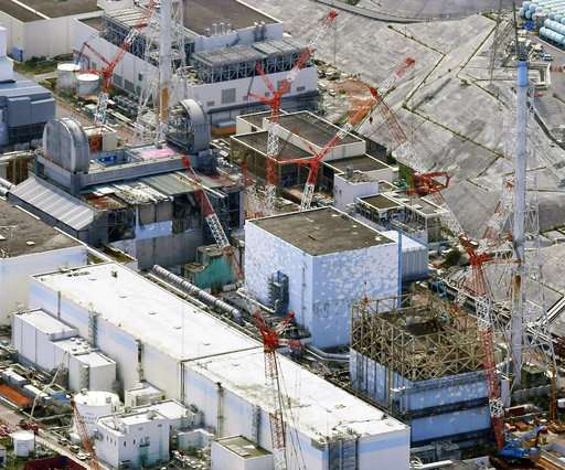 Multiple challenges remain to Fukushima nuclear cleanup
