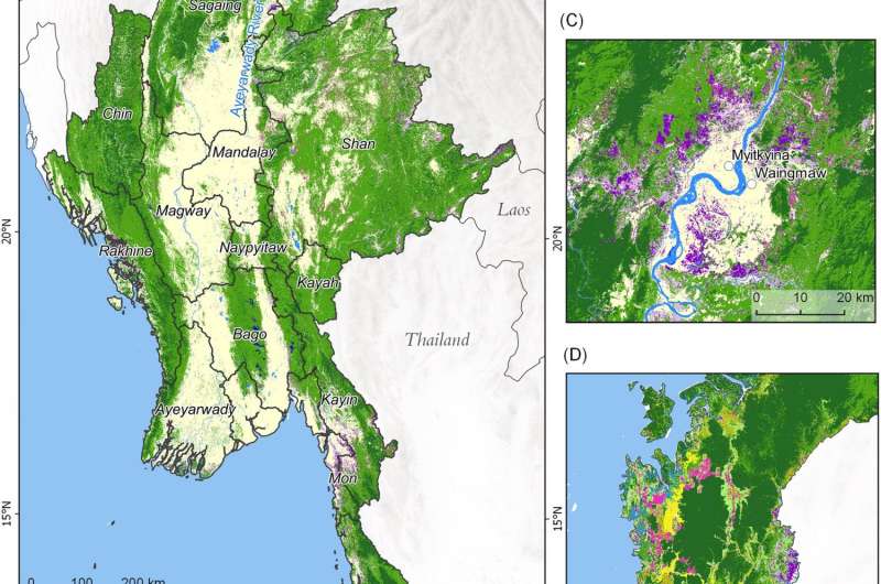 Myanmar's extensive forests are declining rapidly due to political and economic change