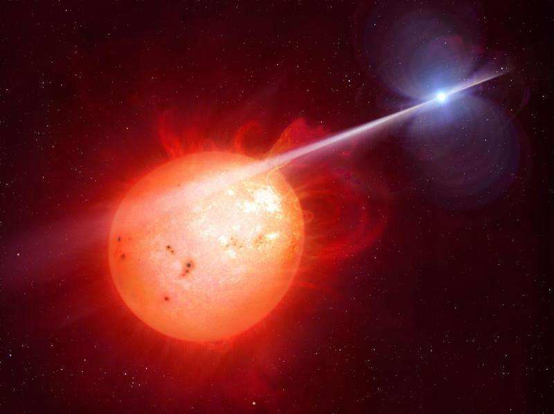 Mysterious white dwarf pulsar discovered