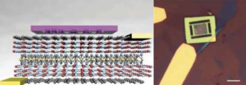 Nanocavity and atomically thin materials advance tech for chip-scale light sources