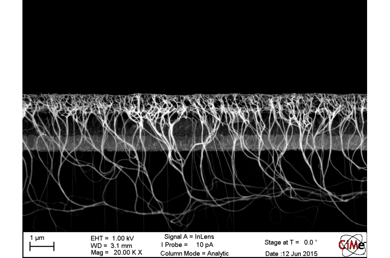 Nanotube film may resolve longevity problem of challenger solar cells