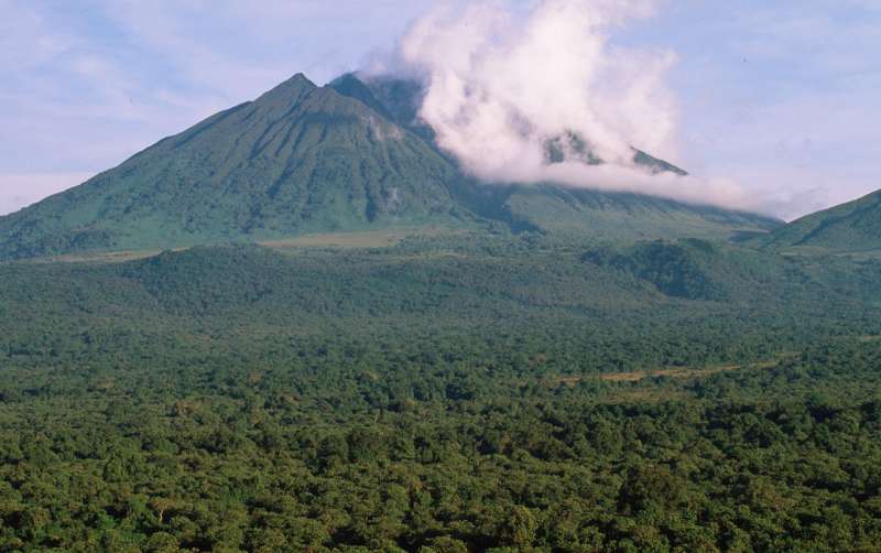 NASA survey technique estimates Congo forest's carbon