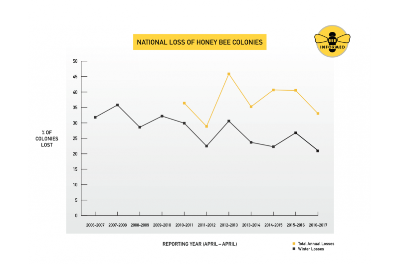 Nation's beekeepers lost 33 percent of bees in 2016-17