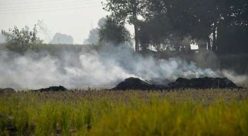 Nearly 35 million tonnes of post-harvest stubble is burnt annually in Haryana and Punjab, two predominantly rural states near De