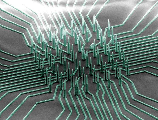 'Neuron-reading' nanowires could accelerate development of drugs for neurological diseases