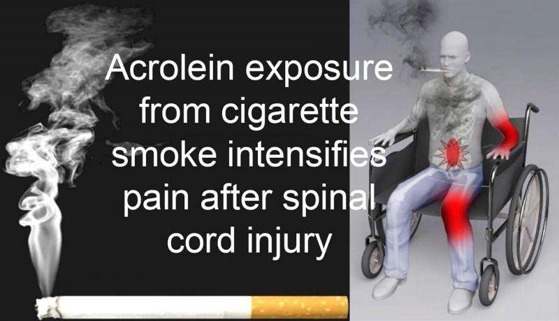 Neurotoxin in cigarette smoke worsens pain in spinal cord injuries