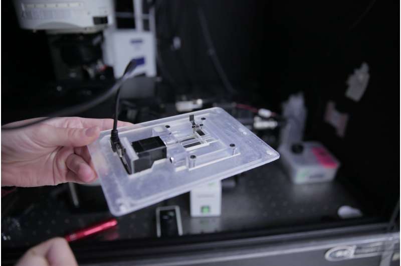 New 3-D imaging technique for future precision medicine toolbox