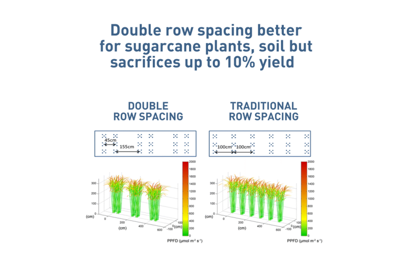 New 3-D model predicts best planting practices for farmers