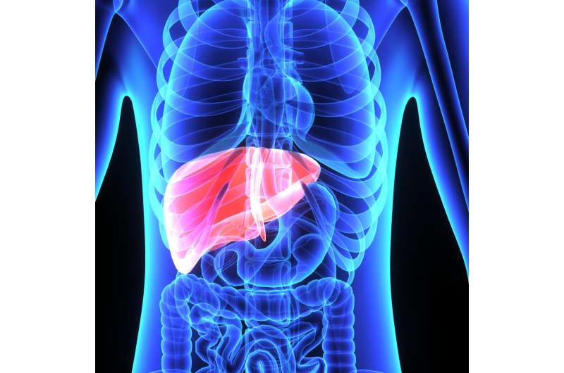 New anti-rejection drug reduces weight gain and enhances outcomes for liver transplant recipients