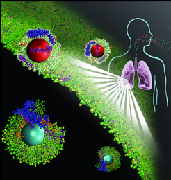 New biological identity of inhaled nanoparticles revealed