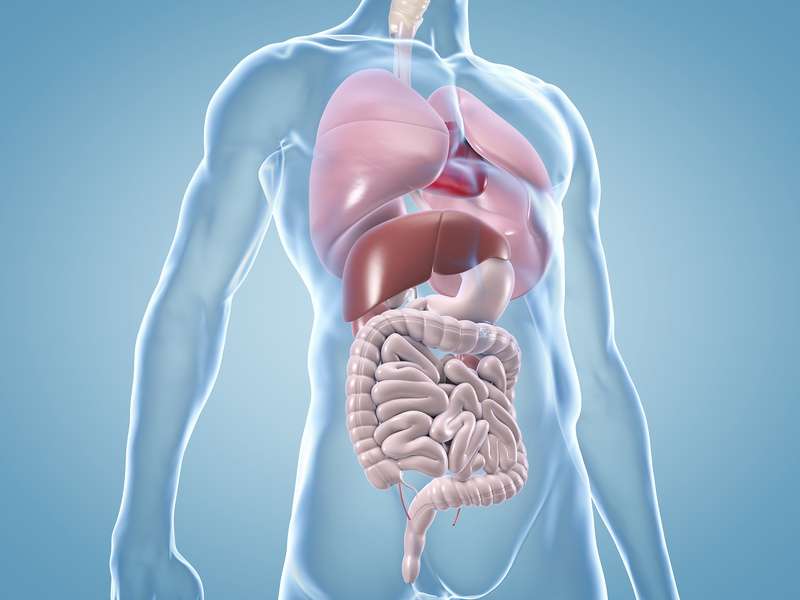 New biomarker allows better prediction of survival for patients with colorectal metastases