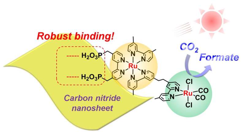 New carbon nitride material coupled with ruthenium enhances visible-light CO2 reduction in water