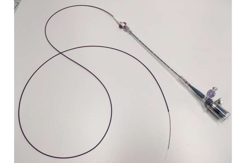 New cardiac catheter combines light and ultrasound to measure plaques