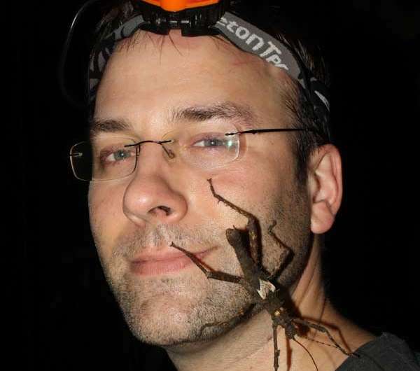 New Central Park fly species gets CCNY professor's moniker