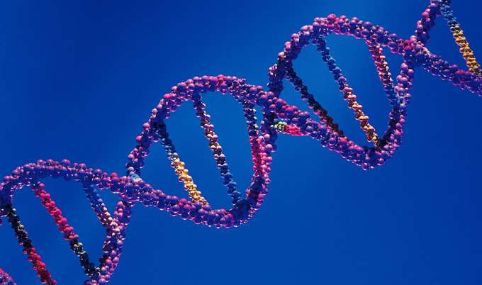 New digital method enhances understanding of changes in DNA's makeup