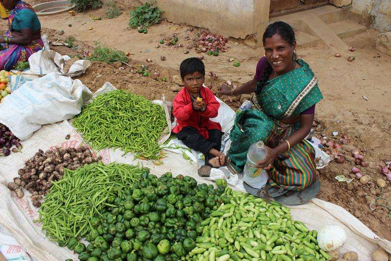 New food policies could take the bite out of India's malnutrition