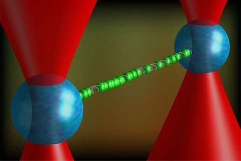 New form of DNA discovered