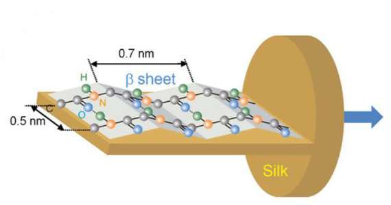 New infrared imaging technique reveals molecular orientation of proteins in silk fibres