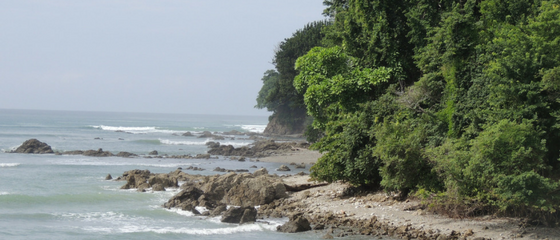 New marine protected area designated in Costa Rica