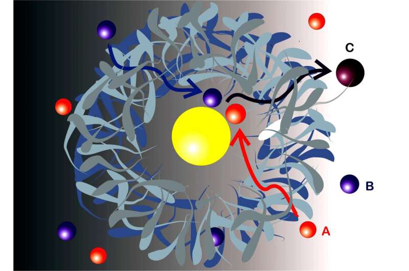 New model for bimolecular reactions in nanoreactors