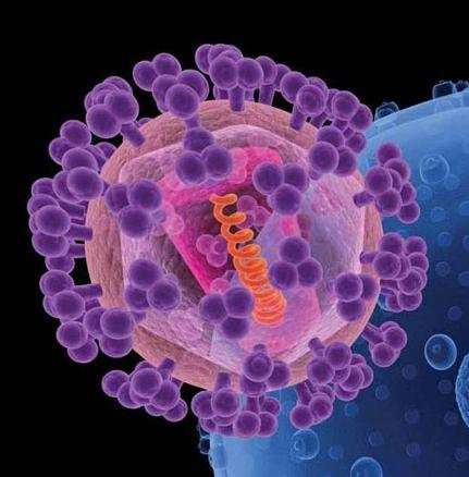 New molecule shows promise in HIV vaccine design