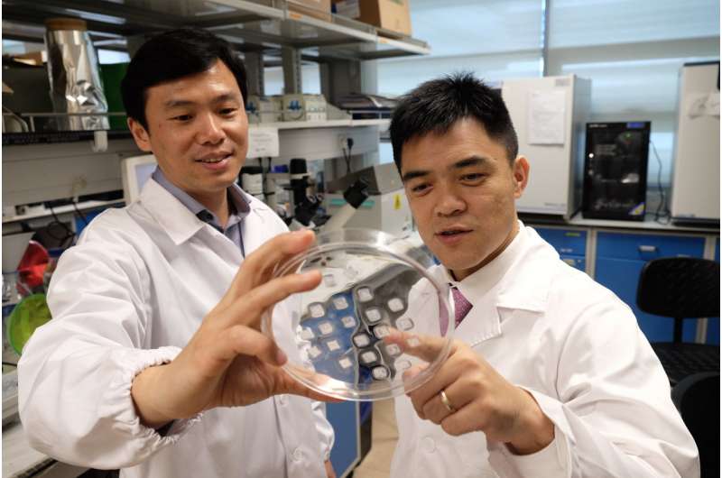 ​New patch aims to turn energy-storing fats into energy-burning fats