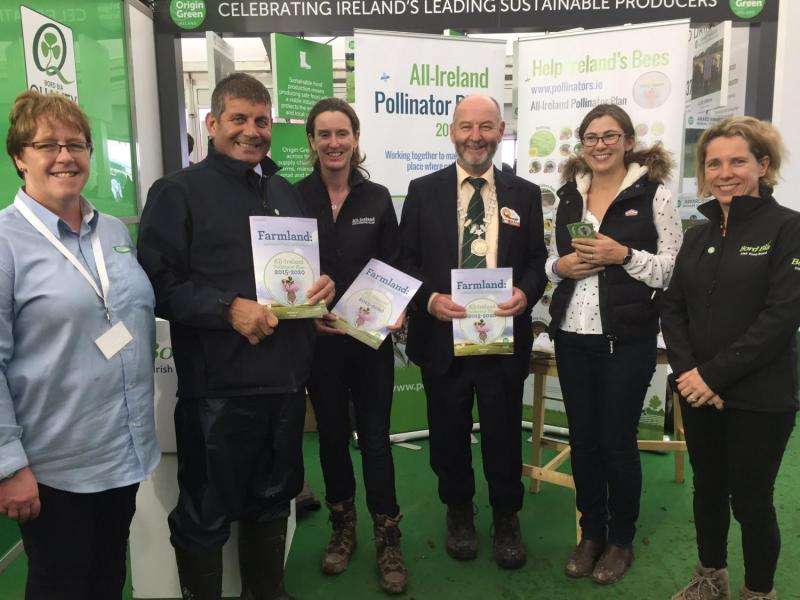 New pollinator guidelines aim to get Ireland’s farmland buzzing again