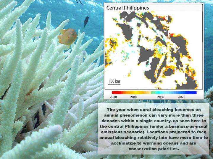 New research predicts the future of coral reefs under climate change