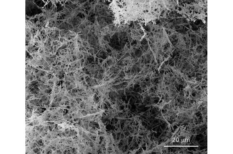 New, simplified technique makes light metallic nanofoam
