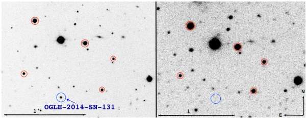 New slowly evolving Type Ibn supernova discovered