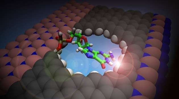 New type of nanosensor detects DNA building blocks