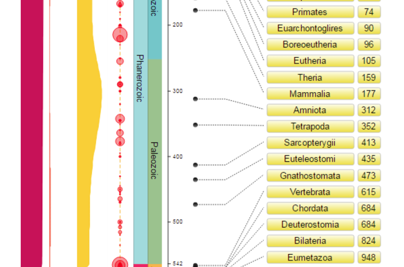 Next Generation TimeTree: An expanded history of life on Earth at your fingertips