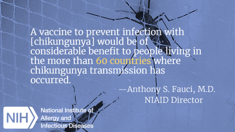NIAID-sponsored trial of experimental Chikungunya vaccine begins