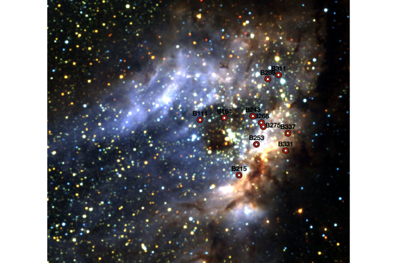 No close partner for young, massive stars in Omega Nebula