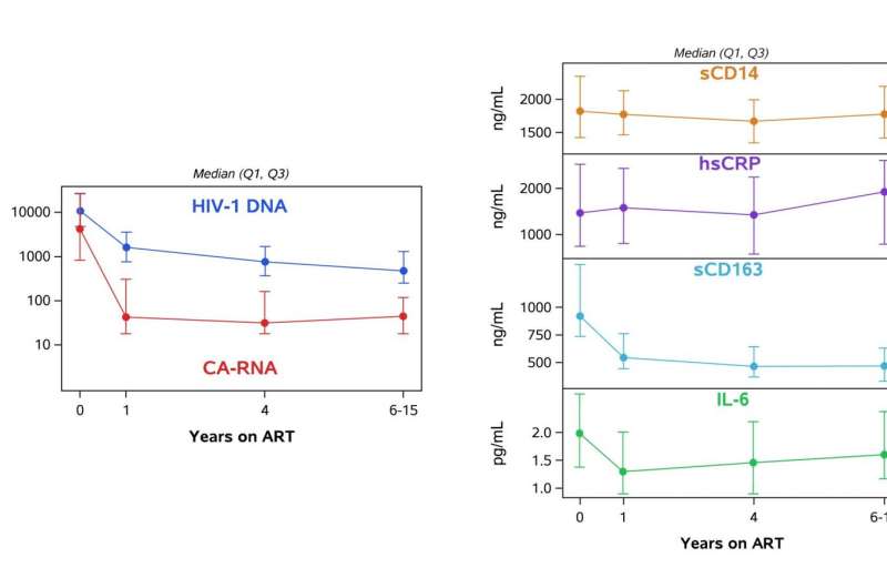 No link found between HIV levels and immune activation during antiretroviral treatment