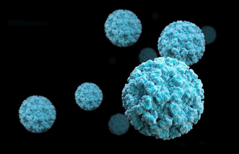Norovirus evades immune system by hiding out in rare gut cells