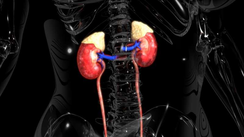 Novel treatment offers kidney failure patients with rare disorder new hope