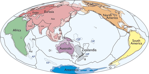 N. Zealand part of sunken 'lost continent': scientists
