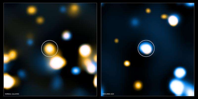 Obscured supermassive black holes in galaxies