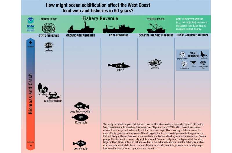 Ocean acidification to hit West Coast Dungeness crab fishery, new assessment shows