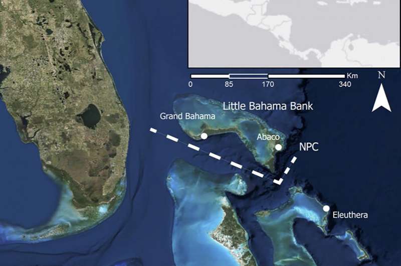 Ocean channel in Bahamas marks genetic divide in Brazilian free-tailed bats